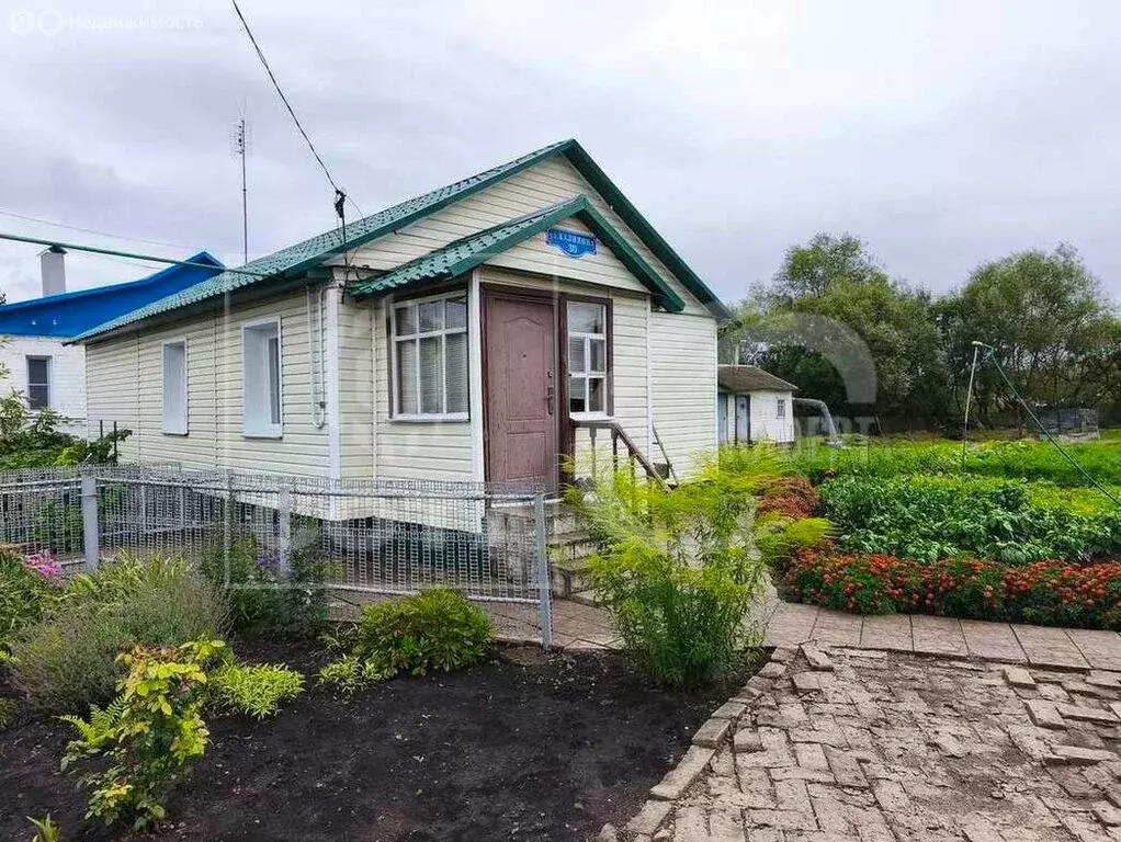 Дом в Добринка, улица Калинина, 30 (58.5 м) - Фото 0