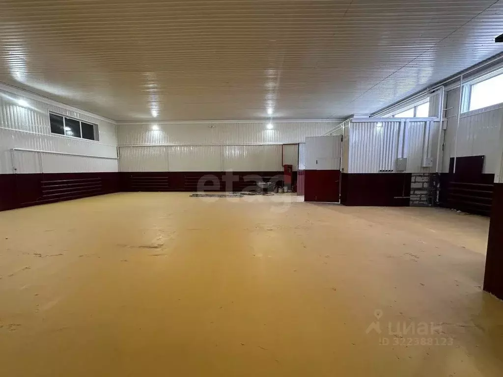 Помещение свободного назначения в Ямало-Ненецкий АО, Новый Уренгой ... - Фото 1