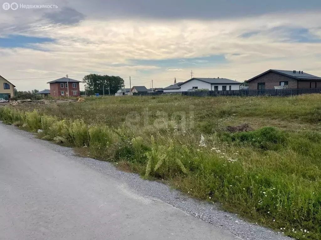 Участок в Новосибирский район, Морской сельсовет, село Ленинское (6.2 ... - Фото 1