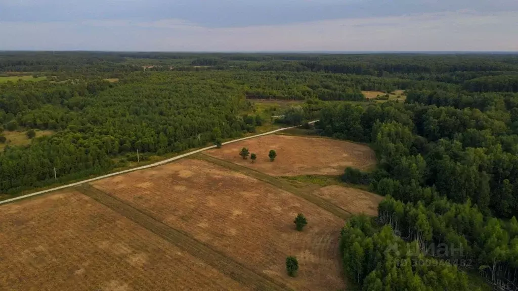 Участок в Тульская область, Заокский район, Страховское с/пос, д. ... - Фото 2