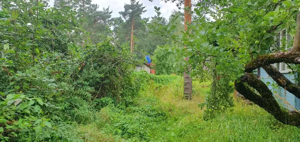 Дом в Ленинградская область, Гатчинский район, Вырица городской ... - Фото 0