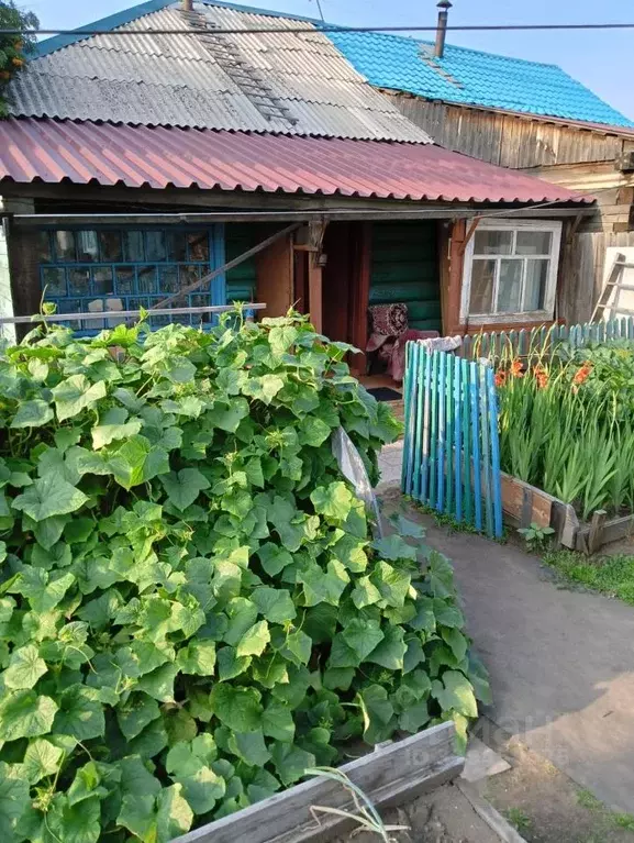 Дом в Бурятия, Улан-Удэ Новая Комушка мкр, ул. Северная, 56 (42 м) - Фото 1