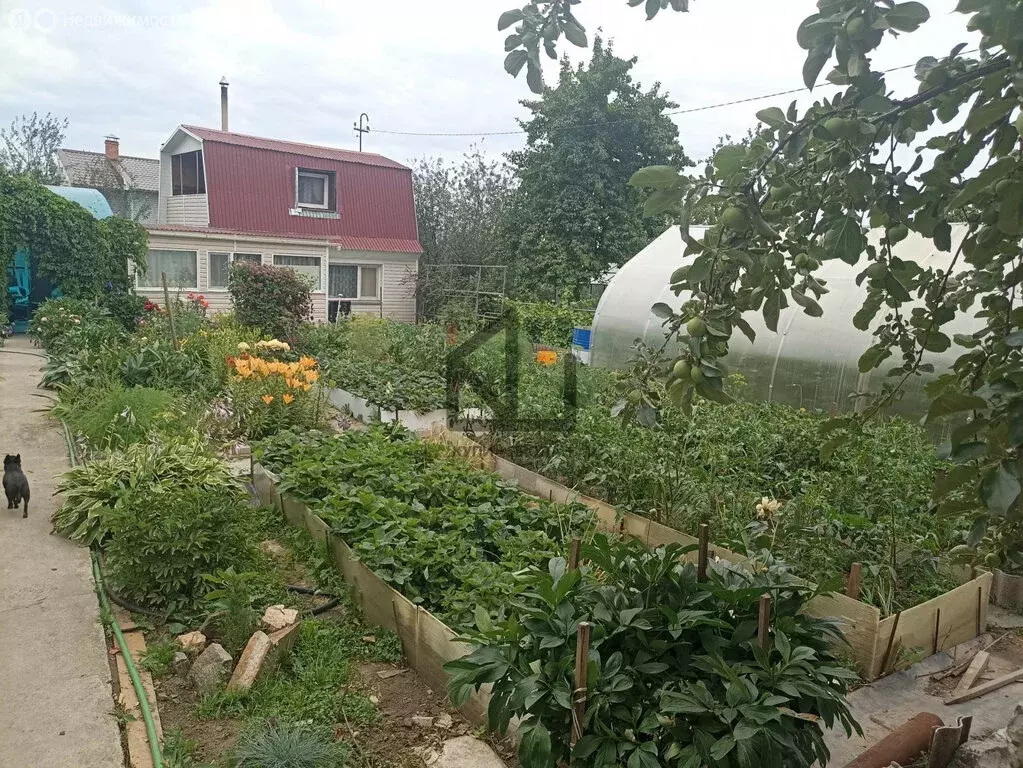 Дом в Челябинск, СНТ Уралец, Дачная улица, 616 (50 м) - Фото 1