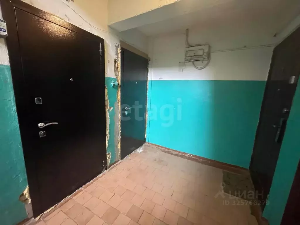 2-к кв. Владимирская область, Петушки Лесная ул., 18 (40.6 м) - Фото 2