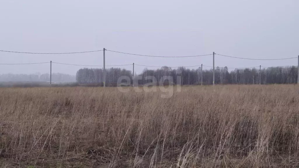 Участок в Тюменская область, Тюменский муниципальный округ, д. ... - Фото 1