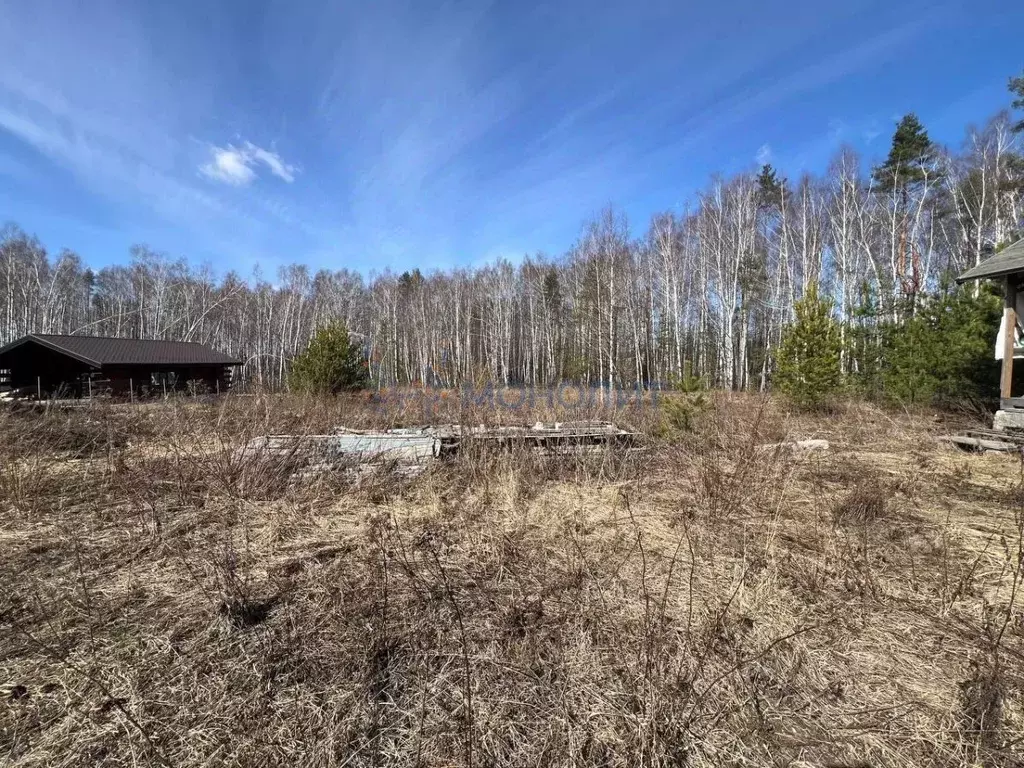 Участок в Нижегородская область, Богородский муниципальный округ, с. ... - Фото 2