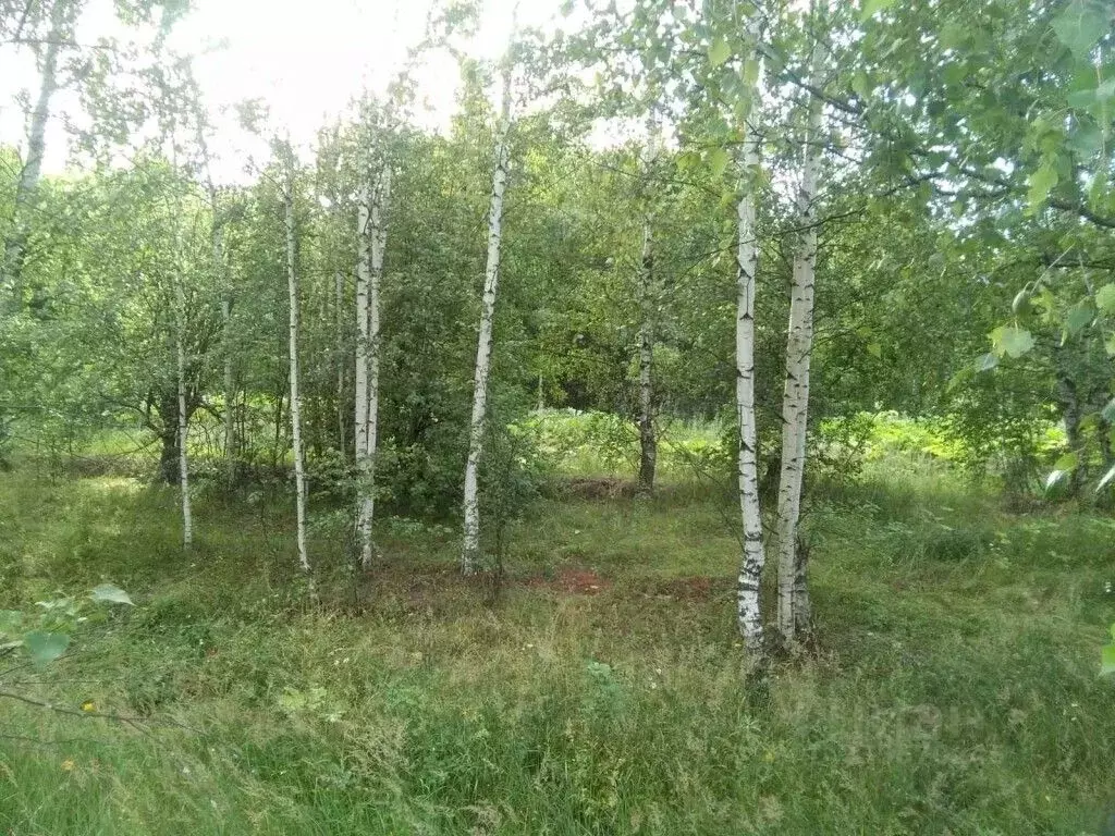 Участок в Нижегородская область, Чкаловск городской округ, д. ... - Фото 1