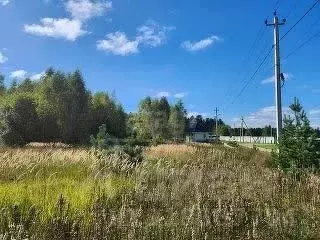 Участок в Владимирская область, Александровский район, Андреевское ... - Фото 0