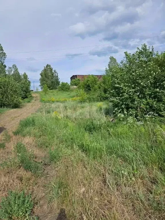 Участок в Кемеровская область, Кемеровский муниципальный округ, с. ... - Фото 1