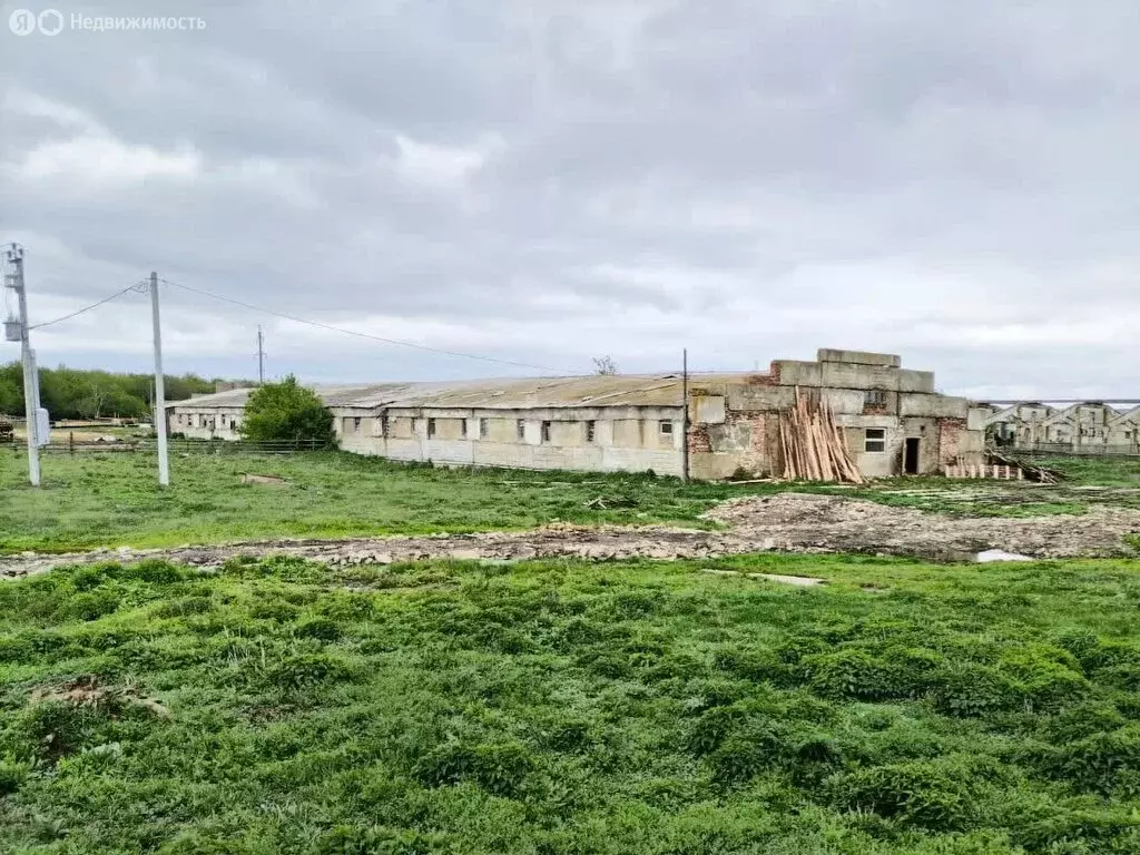 Помещение свободного назначения (900 м) - Фото 1