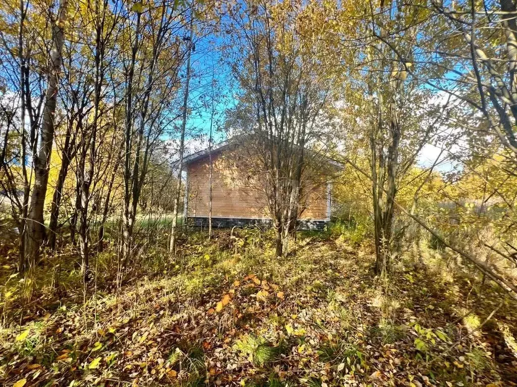 Участок в Вологодская область, пос. Рубцово  (6.0 сот.) - Фото 1