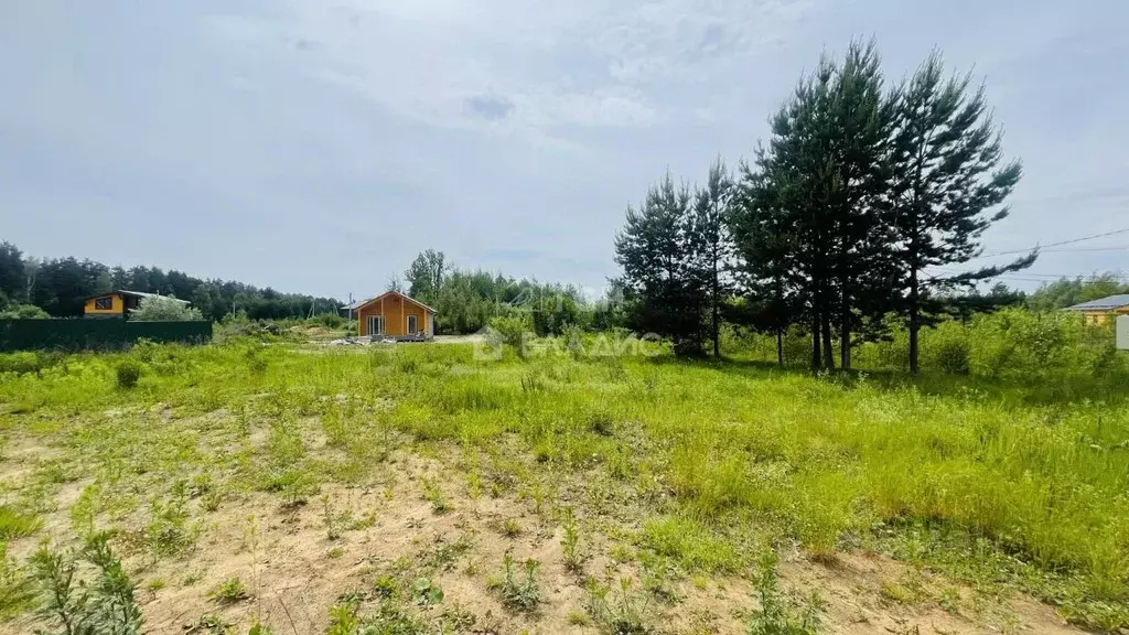 Участок в Московская область, Лосино-Петровский городской округ, д. ... - Фото 2