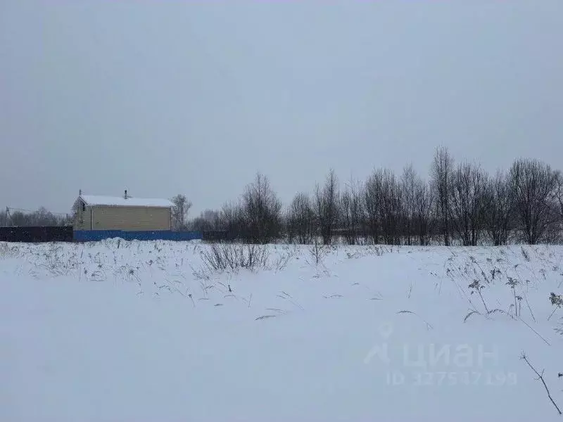 Участок в Московская область, Воскресенск городской округ, с. Усадище ... - Фото 1