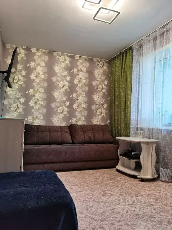 1-к кв. Алтайский край, Барнаул Взлетная ул., 50 (30.0 м) - Фото 0