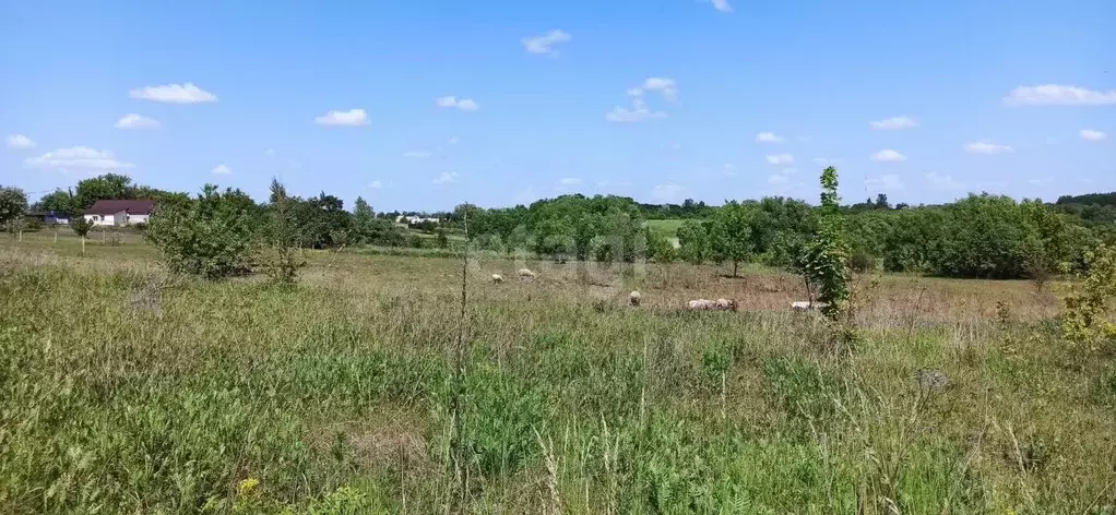 Участок в Белгородская область, Губкинский городской округ, с. ... - Фото 0