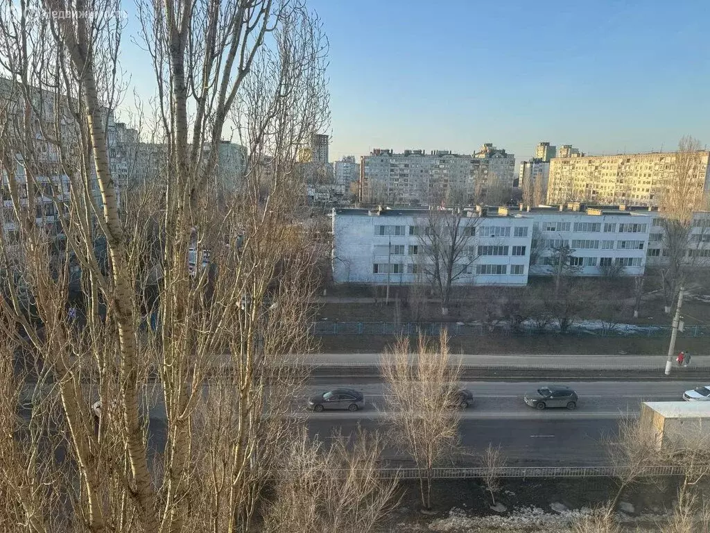 1-комнатная квартира: Волгоград, район Семь Ветров, улица Константина ... - Фото 2