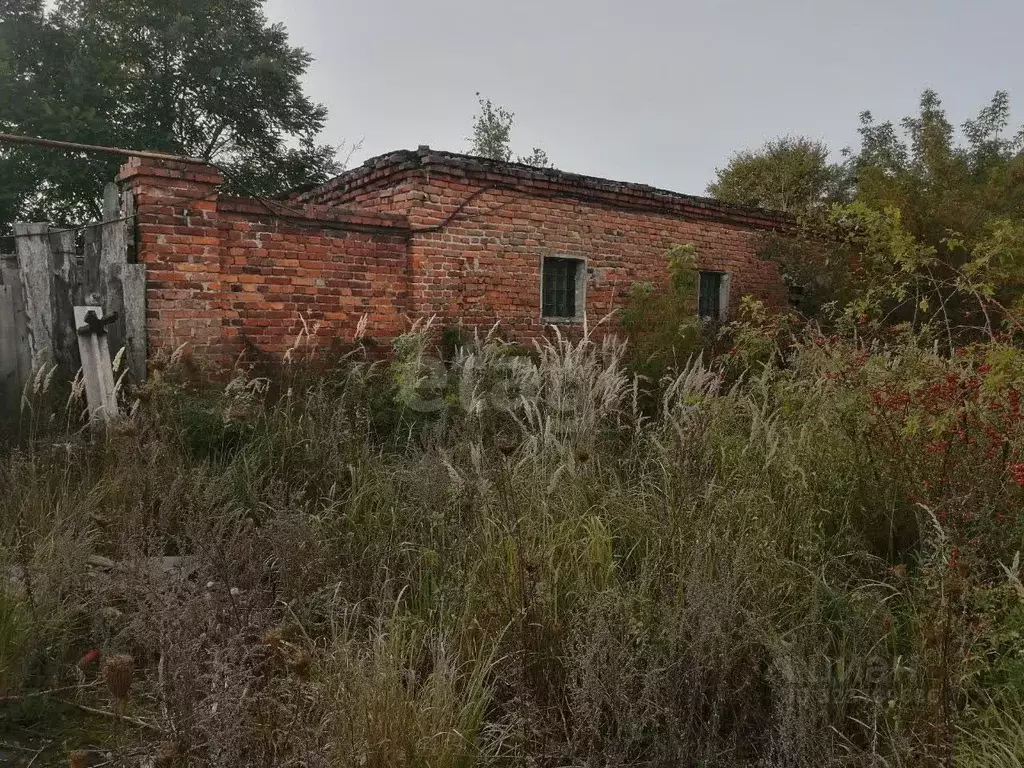 Склад в Брянская область, Клинцовский район, пос. Первое Мая ул. ... - Фото 1