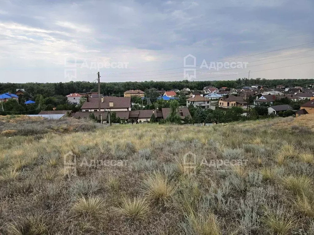 Участок в Волгоградская область, Среднеахтубинский район, Ахтубинское ... - Фото 1