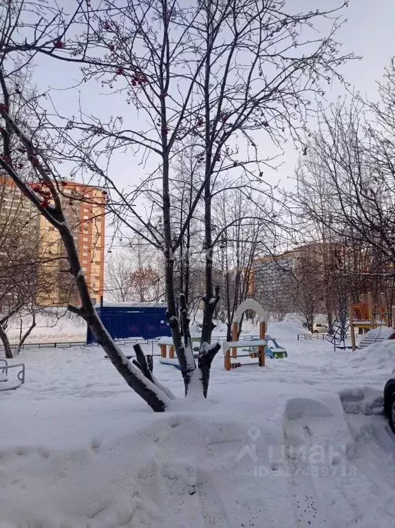 1-к кв. Новосибирская область, Новосибирск Родники мкр, ул. Родники, 3 ... - Фото 1