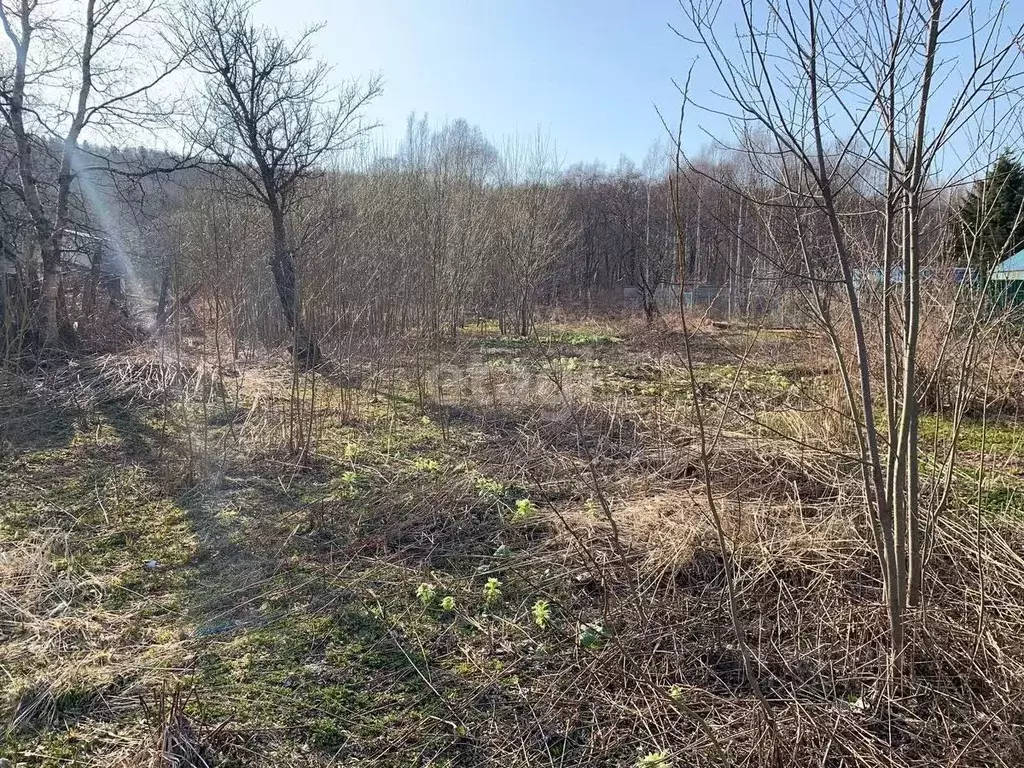 Участок в Сахалинская область, Анивский городской округ, с. Троицкое, ... - Фото 1