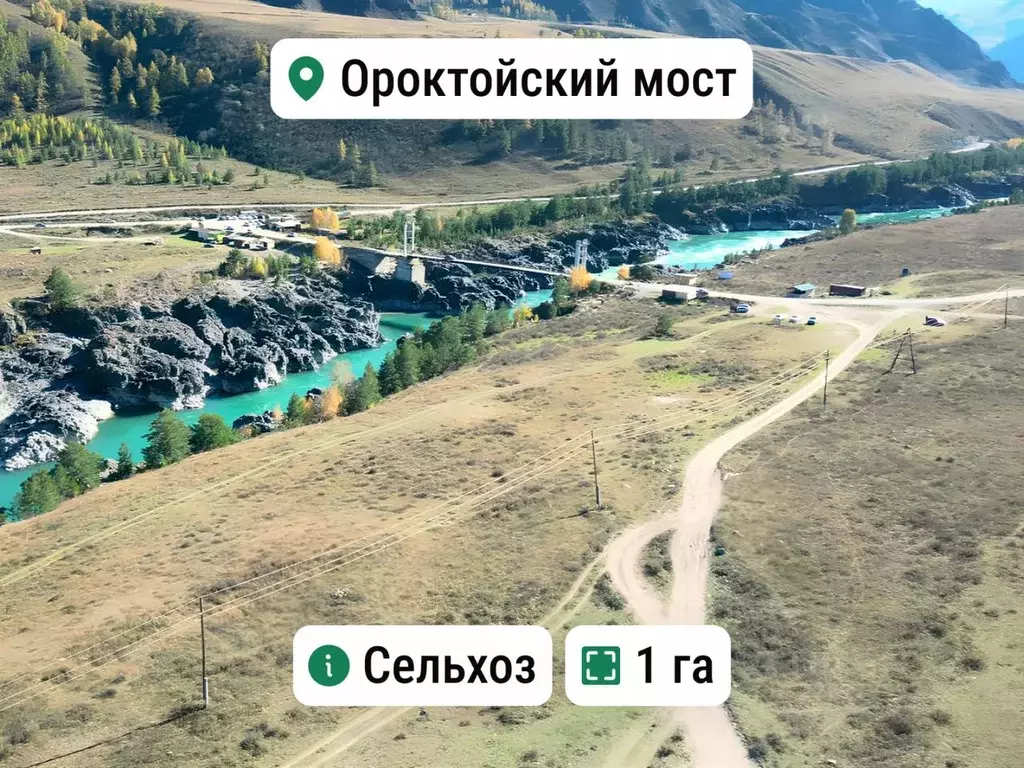 Участок в Алтай, Чемальский район, с. Ороктой ул. Центральная (1.0 ... - Фото 1
