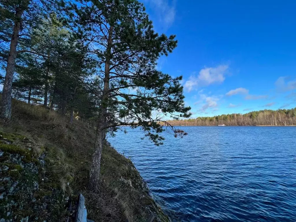 Участок в Карелия, Кондопожский район, Кедрозерское с/пос, д. Лижма  ... - Фото 0