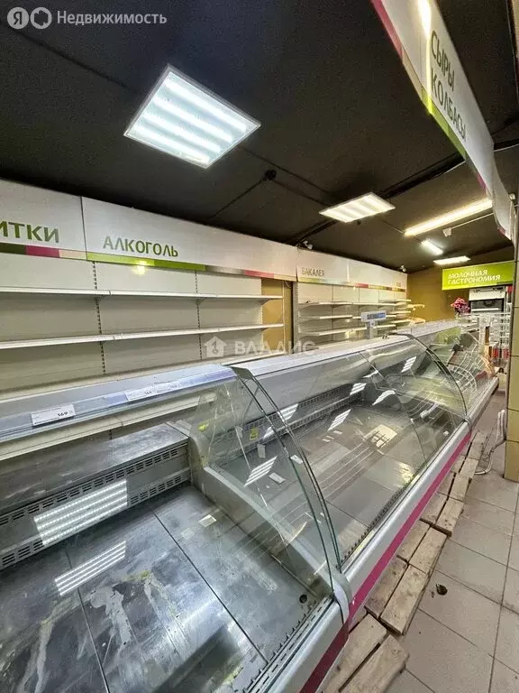 Торговая площадь (100 м) - Фото 1