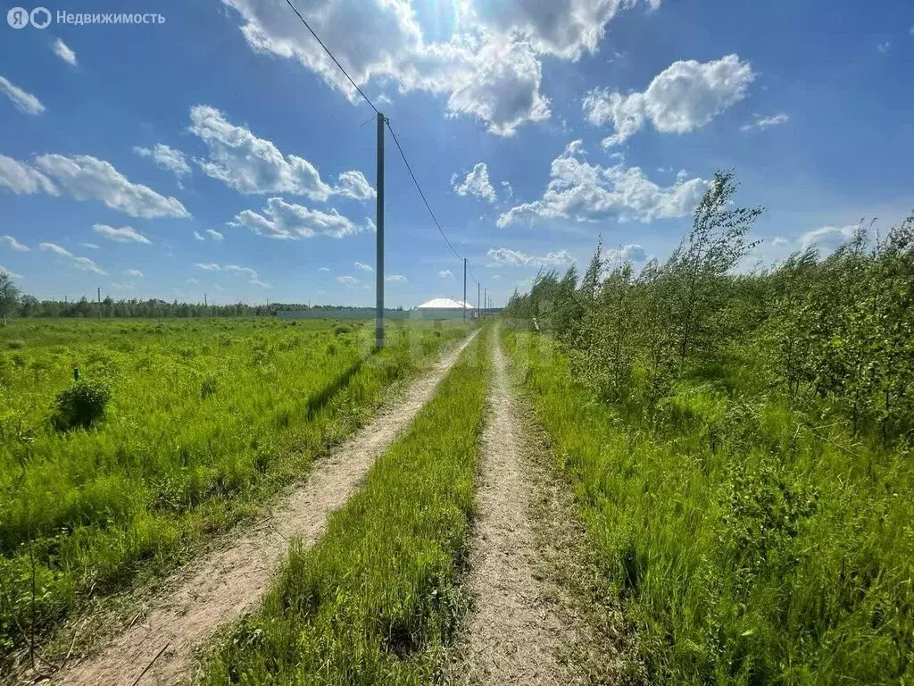 Участок в Медведевский район, Азяковское сельское поселение, деревня ... - Фото 1