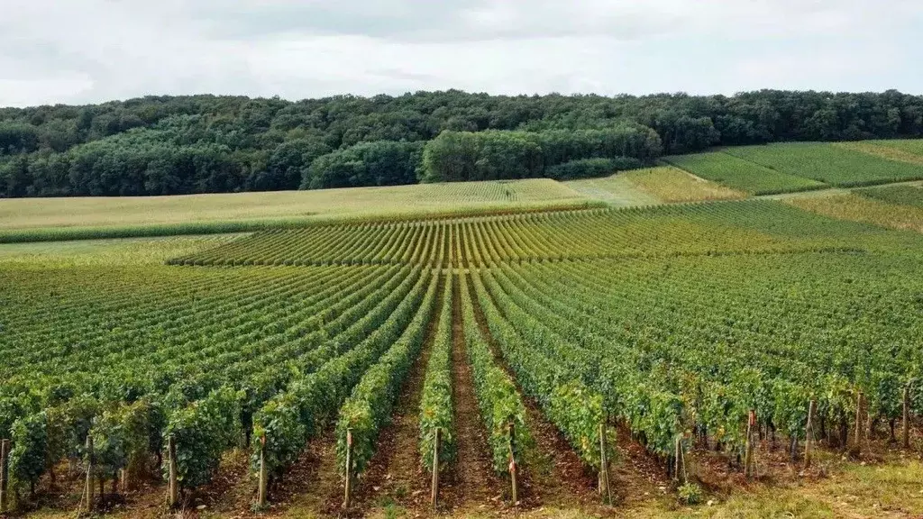 Участок в Крым, Ленинский район, с. Луговое  (794.0 сот.) - Фото 0