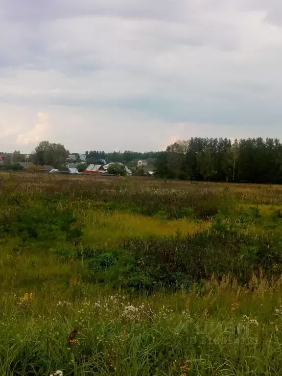 Участок в Владимирская область, Судогодский район, Андреевское ... - Фото 1