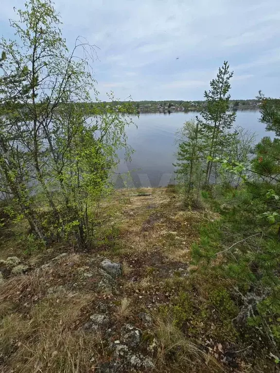 Участок 17,3 сот. (СНТ, ДНП) - Фото 0