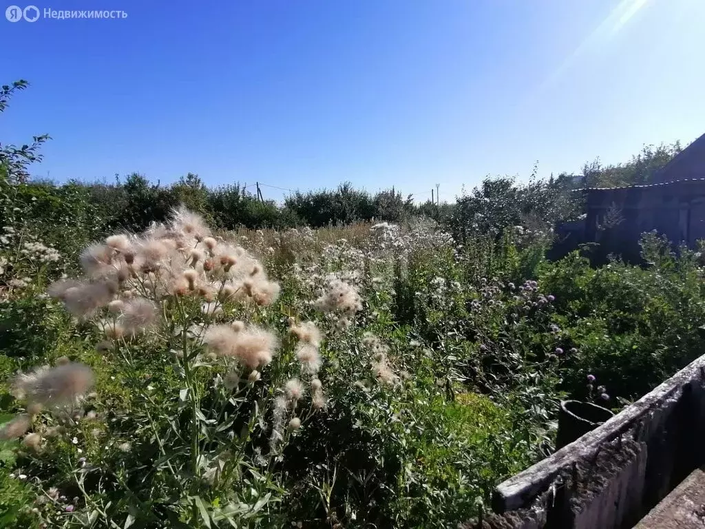 Участок в село Новое Барятино, Центральная улица (8.8 м) - Фото 1