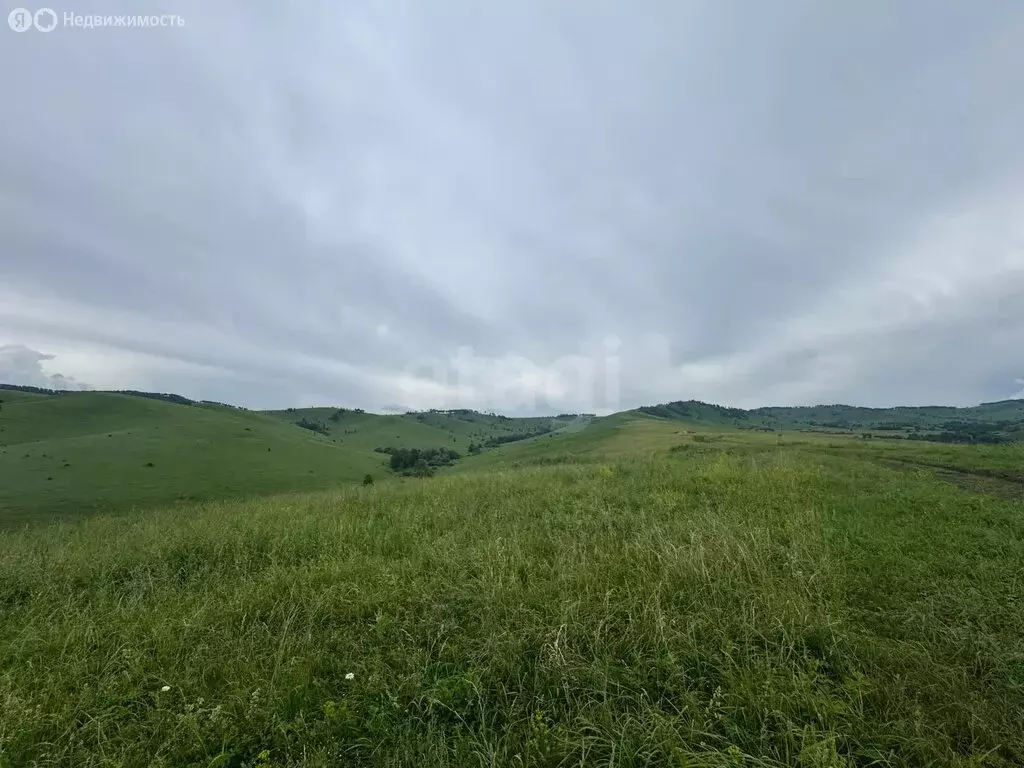 Участок в Алтайский район, ДНТ Жемчужина Алтая (8.75 м) - Фото 2