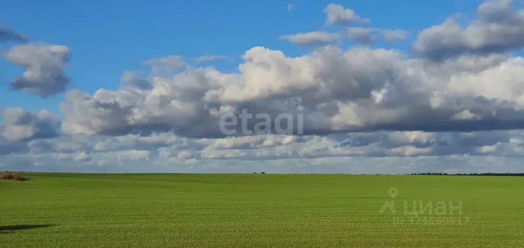 3-к кв. Смоленская область, Руднянский муниципальный округ, д. ... - Фото 1