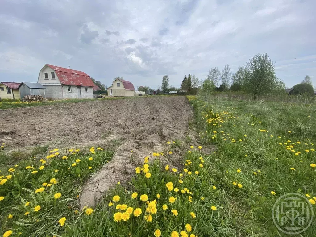 Участок 9 сот. (ИЖС) - Фото 1