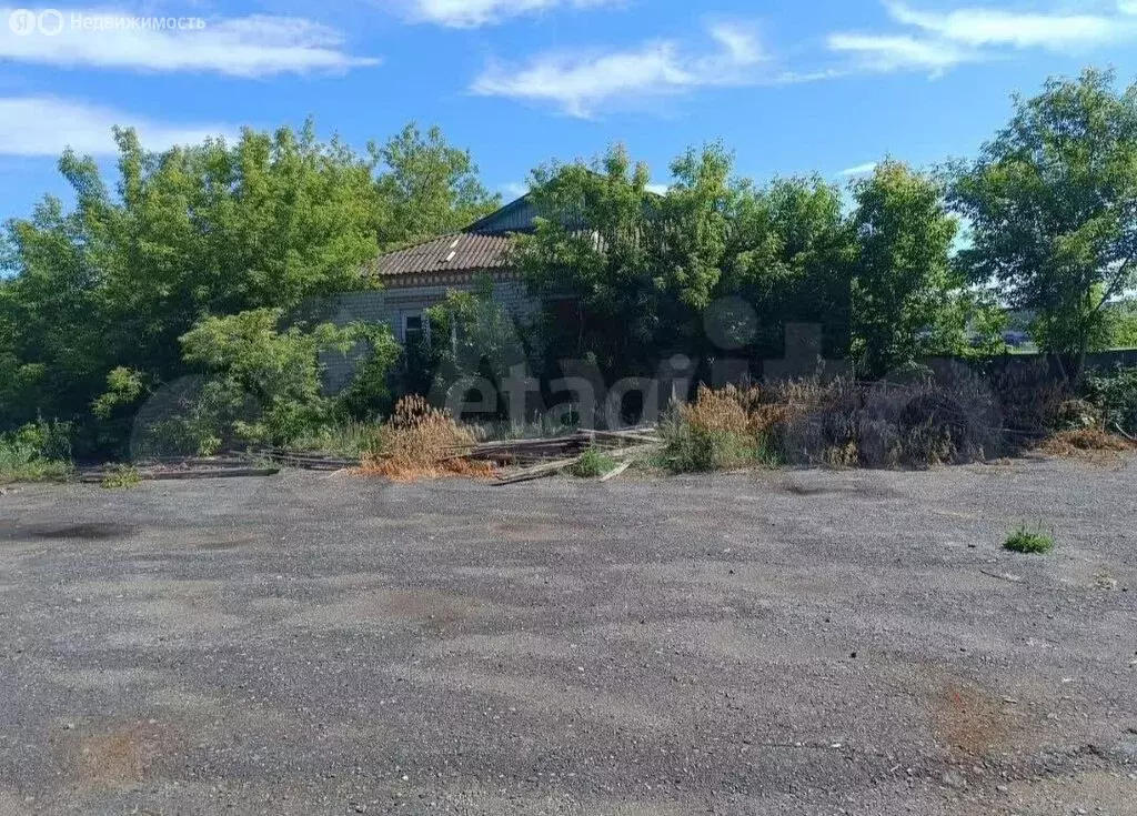 Участок в Казанское, улица Пушкина (49.5 м) - Фото 1