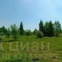 Участок в Пермский край, Пермский муниципальный округ, д. Мостовая ... - Фото 1