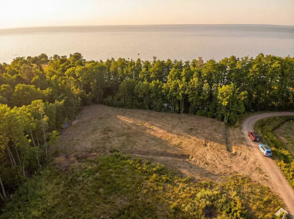Участок в Ленинградская область, Ломоносовский район, Лебяженское ... - Фото 2