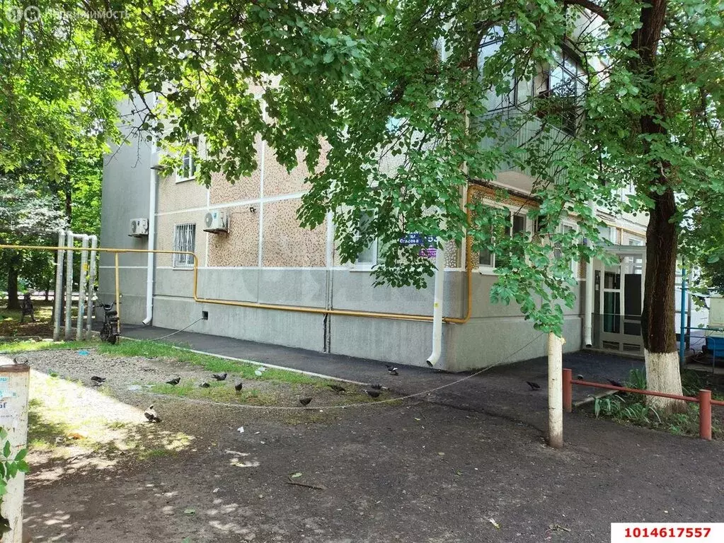 1-комнатная квартира: Краснодар, улица Стасова, 157 (33 м) - Фото 0