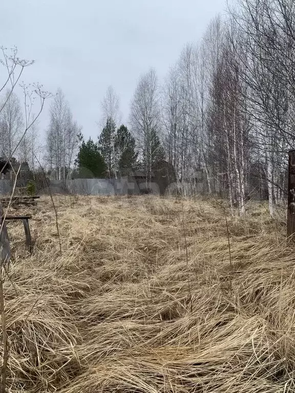 Участок 10,5 сот. (СНТ, ДНП) - Фото 1