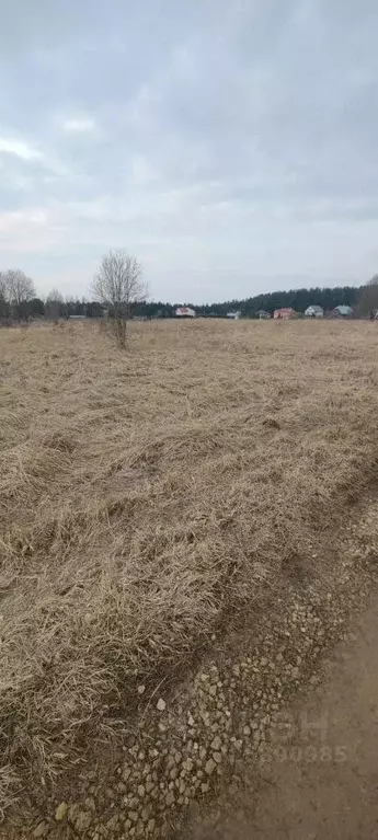 Участок, 10 сот., поселения (ижс) - Фото 1