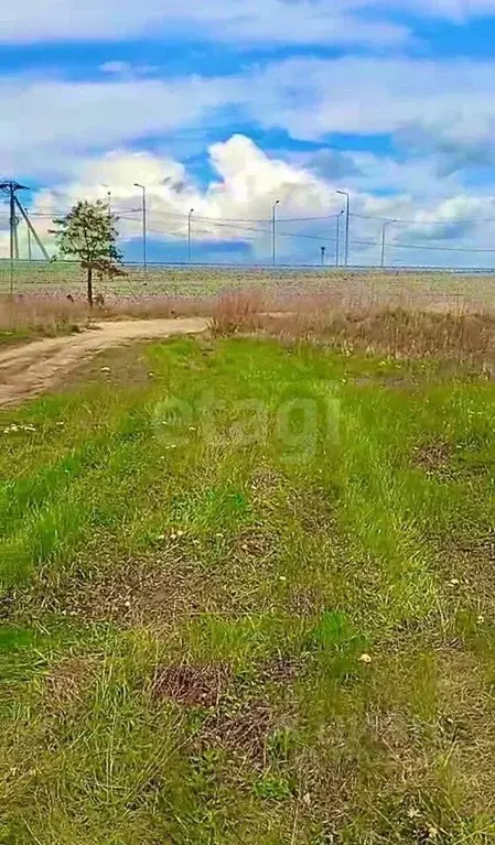 Участок в Амурская область, Благовещенский район, пос. Заречный  (5.0 ... - Фото 1