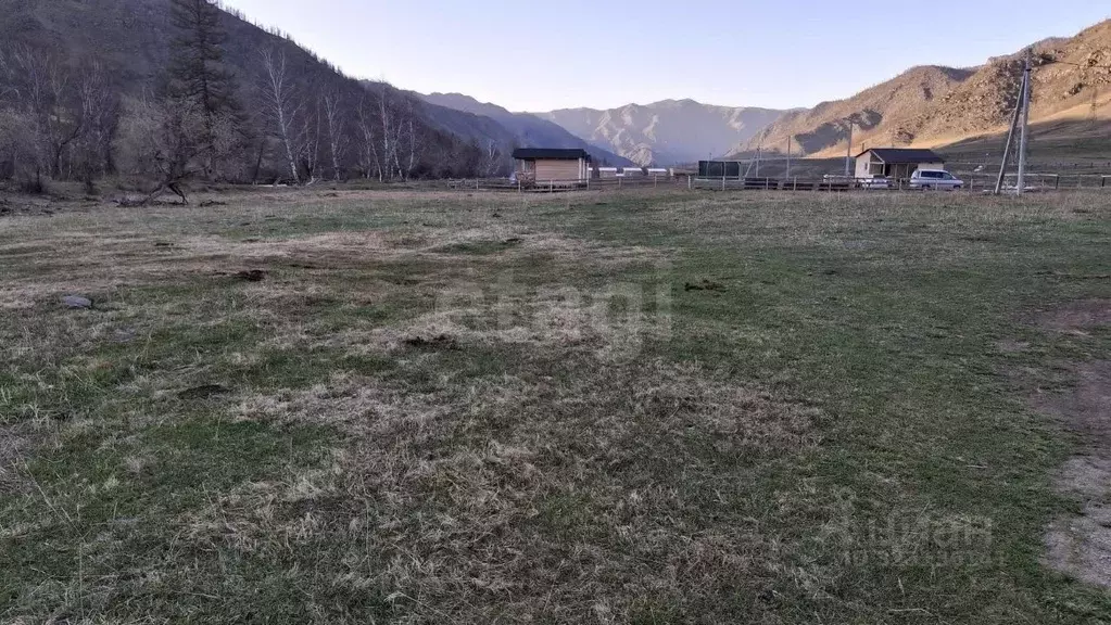 Участок в Алтай, Онгудайский район, с. Хабаровка Северная ул., 27 ... - Фото 1