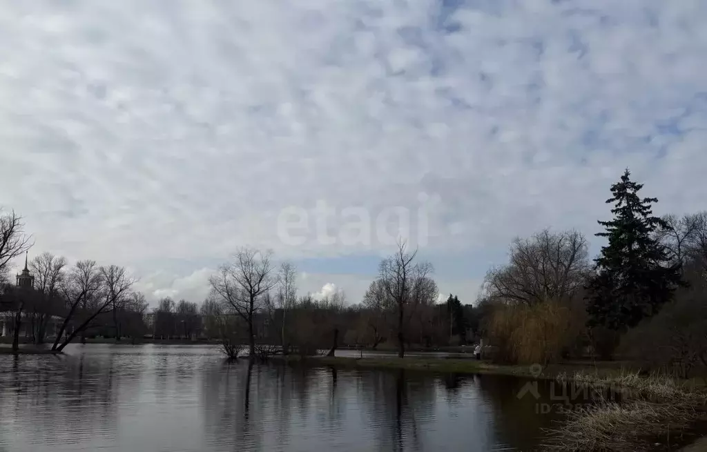 3-к кв. Санкт-Петербург Кузнецовская ул., 44 (80.0 м) - Фото 1