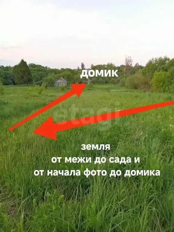 Дом в Выгоничский район, Кокинское сельское поселение, село Паниковец ... - Фото 2