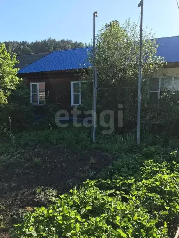 Дом в Алтай, Майминский район, с. Кызыл-Озек Лесхозная ул., 5 (72 м) - Фото 1