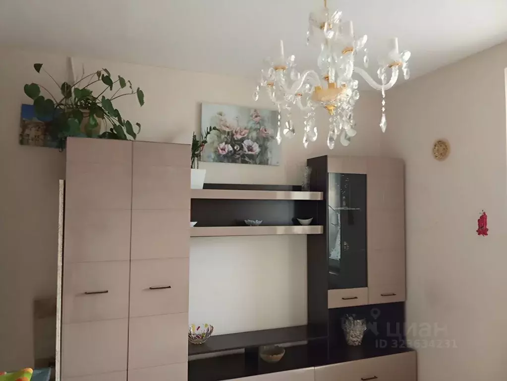 1-к кв. Московская область, Балашиха ш. Косинское, 12 (20.0 м) - Фото 2