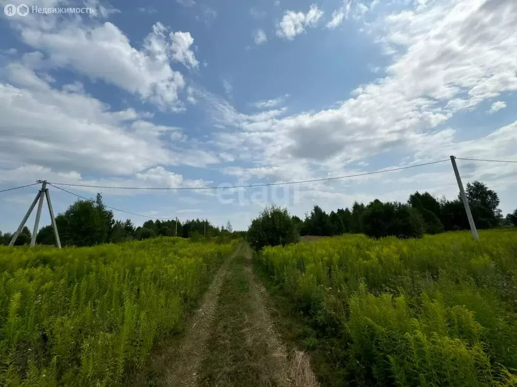 Участок в Нижегородская область, Городецкий муниципальный округ, ... - Фото 0