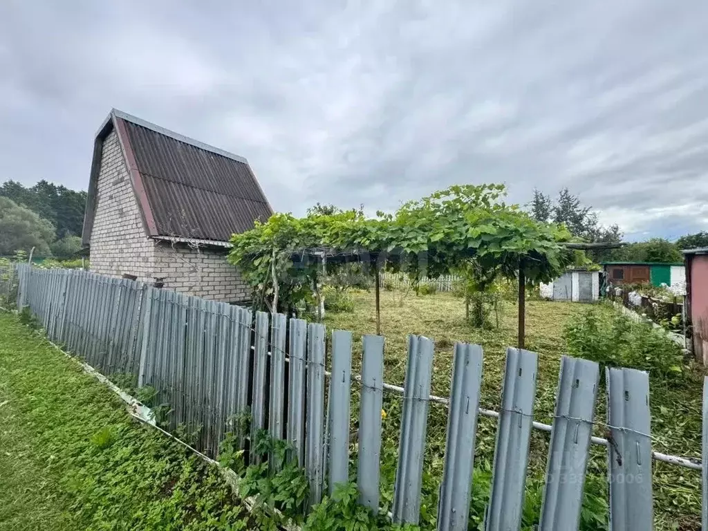 Участок в Калининградская область, Гурьевск Заря СНТ,  (3.93 сот.) - Фото 1