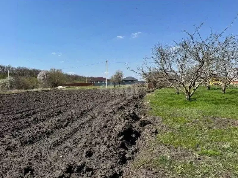 Участок в Белгородская область, Белгородский муниципальный округ, ... - Фото 1